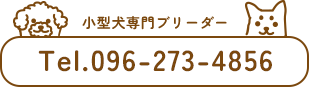 TEL096-273-4856