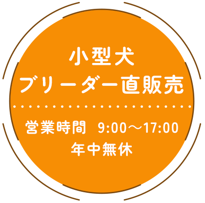 熊本第一犬舎